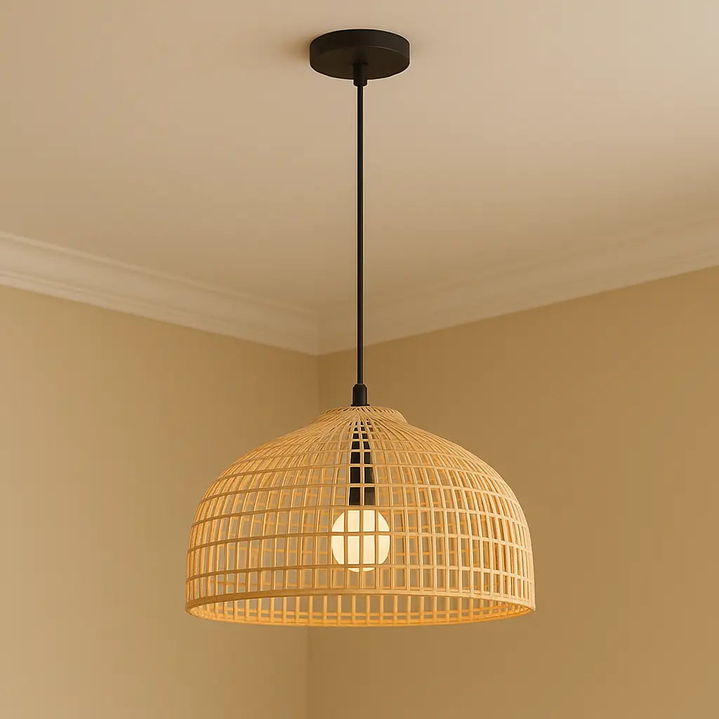 Ceiling Light